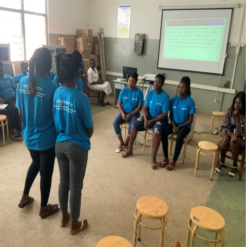 Women Economic Empowerment (WEE-North)